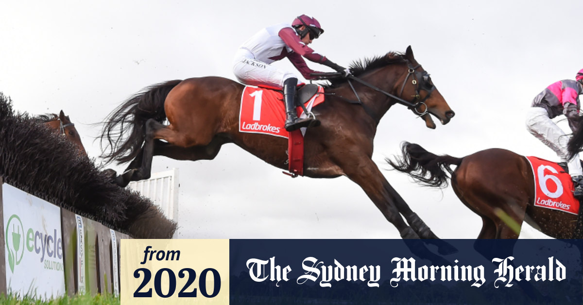 Maher confirms standing as premier jumps trainer